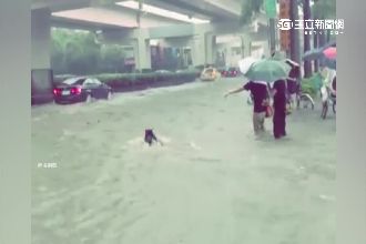 午後雷雨破2百毫米　基隆路瞬間變河