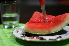 癱瘓,殘廢,惡煞,煞車,西瓜刀▲圖／攝影者Darrol, flickr CC License
https://www.flickr.com/photos/darrol/5842108041/in/photolist-9UfkbH-eXw8Y-5oJBSJ-9ZdQ9x-9ZgJM7-6QR2b8-b6ULcx-3bLSxi-4JgPqU-b1b3JB-aak7U6-iEpK8-6QR1zt-eVvDLk-6WUgWF-6Fxyfo-2PqnYL-9ZgKvA-eDrus-5Z6vP5-fXXkF-fXXkg-55q6Ka-8SuUW-87qsuz-2GbTN-VeC28-9YXG2M-9YXLbB-3ECdT-7XdSx-crTfZU-5LDsRZ-dBqjbk-dBvFs1-4PgGPr-sBDCz1-29m61-9fkt4d-5qZBLk-54fTaF-8kzpCY-8kzpQJ-6FHoTL-bTf9a-3EC83-6hu6ER-3sesGA-hthPjo-9HzTu6/