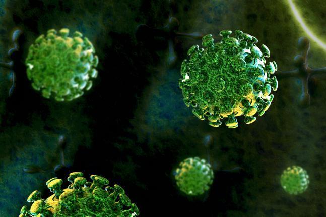 復旦大學已經研發出MERS病毒抗體