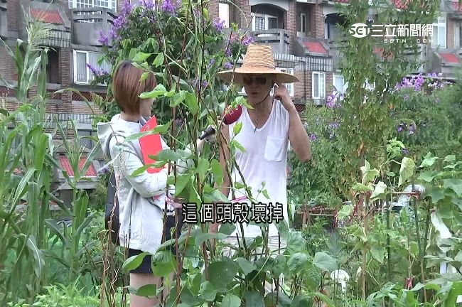 打臉柯P？國防部回收「開心農場」