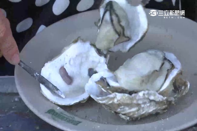 季節限定！嘉義東石「老蚵」一咬爆漿