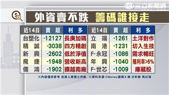 外資連賣v.s股價上漲　股票誰買走