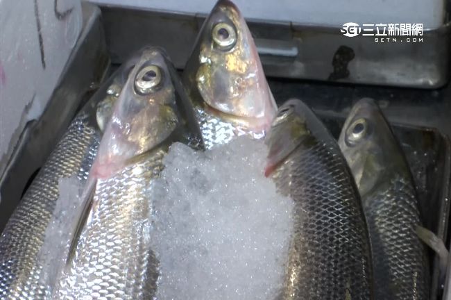 組織胺出現魚就變質　白皮紅肉魚最多