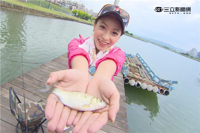 釣魚小甜心尋找逞凶鬥狠的台北角頭！