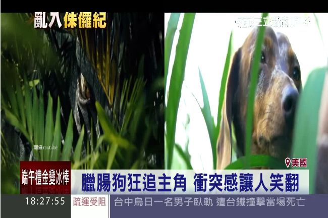 臘腸狗硬闖侏儸紀　網友惡搞預告片