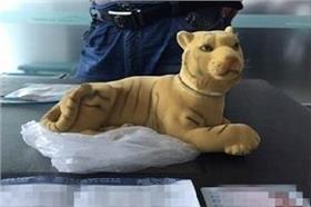 老虎、壯陽酒／民航資源網
http://news.carnoc.com/list/316/316775.html