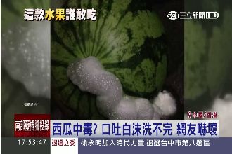 噁！西瓜冒泡「口吐白沫」嚇壞網友