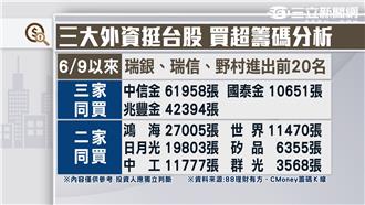 外資挺台股潮流浮現　反彈可期