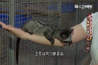 咖啡成液體黃金！越南產量世界第二