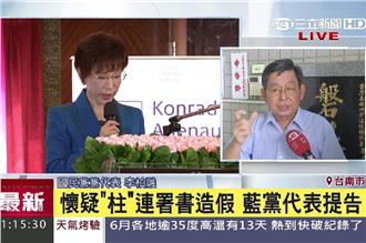 連署書造假？黨代表告洪秀柱偽造文書