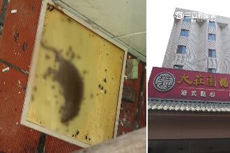 20婚宴會館不合格　廚房驚見死老鼠