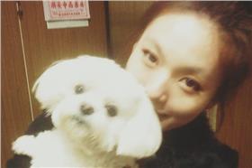 寵物,家人,狗,天使,瑪爾濟思▲圖／取自Rę Mä臉書