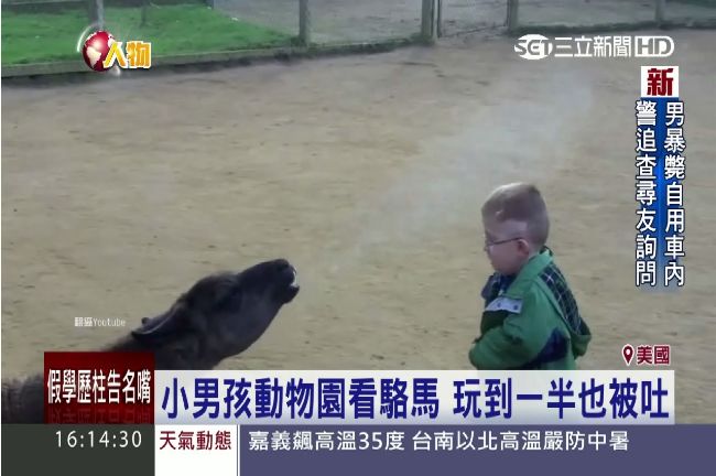 金髮女騷逗駱馬　嘟嘴獻吻被吐臭口水