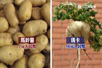 農民搶種！秘魯人蔘「瑪卡」傳可壯陽