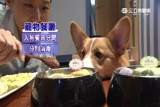 超扯餐廳人狗共用餐具　細菌恐害得病