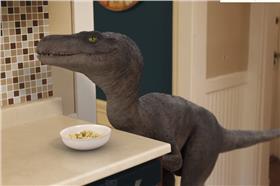 迅猛龍
翻攝https://www.youtube.com/watch?v=oE4J2WFzPeI