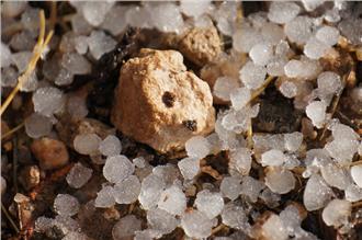 冰雹最大有多大？什麼天氣會下冰雹？