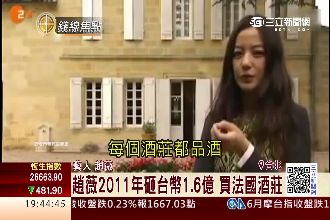 愛酒成痴！　趙薇砸1.6億買法酒莊