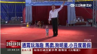 苗栗通宵玩海趣　暑假好玩又盡興