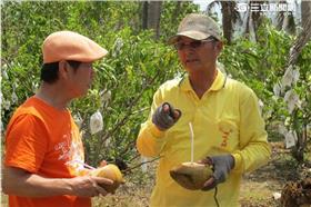 黃西田,草地狀元
