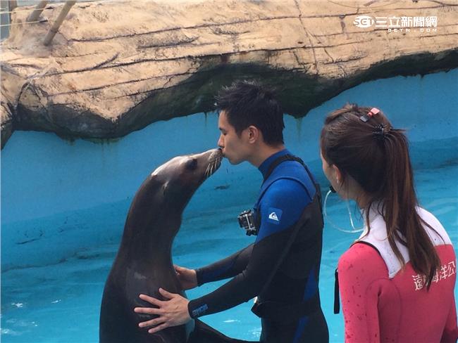 姚淳耀變海獅訓練師　上演精彩親吻秀