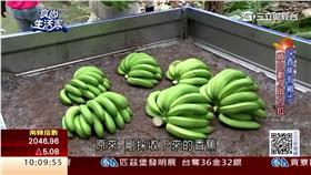 食尚生活家香蕉