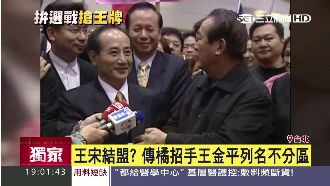 橘挖藍大咖 傳將王金平列不分區第一名