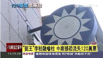 「本土藍」爆退黨潮？挺王派開第一槍