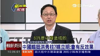 中國暗挺洪秀柱？姚立明：會有反效果