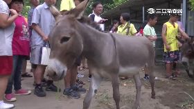 W必)崎頂新樂園190911