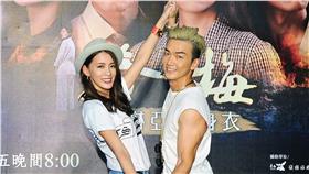 《春梅》台視提供