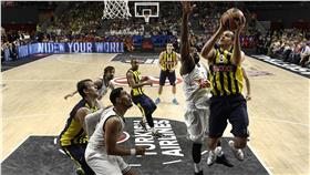 Nemanja Bjelica  圖／美聯社／達志影像