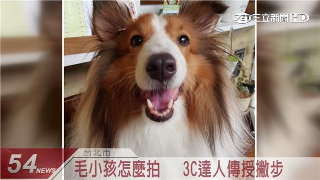 三星新一代神器！捕捉毛小孩爆表萌值