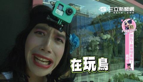 劉伊心公開玩鳥　小鮮肉男友曝光了？