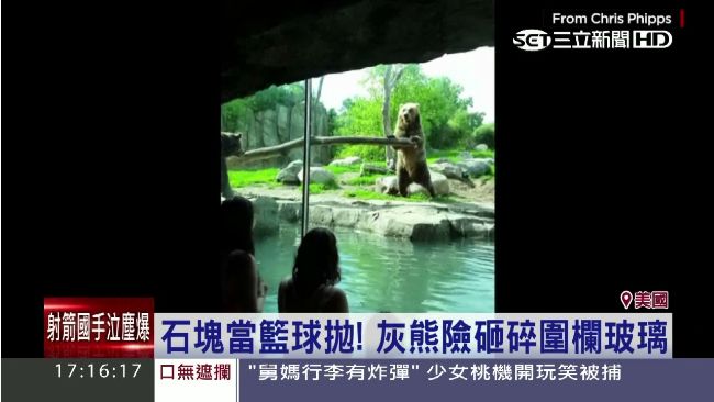 這不是熊麻吉！美國灰熊搬石砸裂玻璃