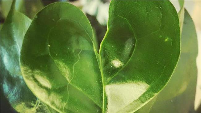 八仙塵爆後學會同理　讓愛延續下去