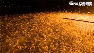 志偉曉菁赴海上派對　乘風破浪追魚去