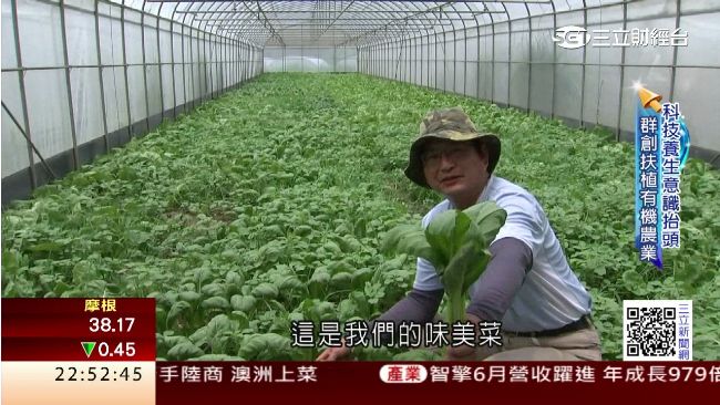 群創打造有機農場　讓員工吃得健康