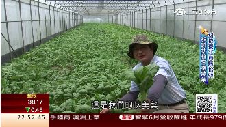 群創打造有機農場　讓員工吃得健康