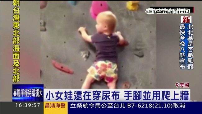 美國超強小女嬰　1歲8個月就會攀岩