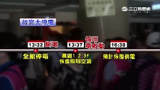 伸手不見五指！故宮大停電只因路樹倒