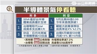 半導體景氣「停看聽」
