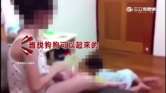 姊丟餅乾、弟趴地舔食　大人拍攝大笑