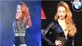 蔡依林合成圖／臉書、范庭瑄攝