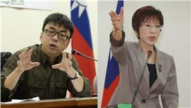 段宜康、洪秀柱合圖（取自段宜康、洪秀柱臉書）