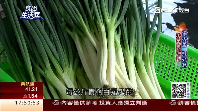 好蔥明！首創「一日蔥農」體驗式導覽