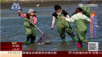 魚塭轉型拼經濟　體驗一日漁夫引人潮