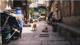 台南巷子 (林敬旻攝)