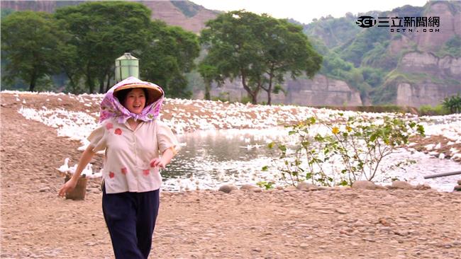 劉曉憶揣摩苦情媽　鴨寮拍戲屎氣沖天