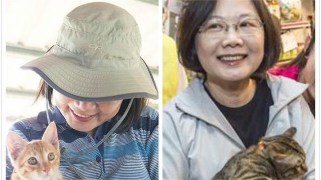 蔡英文又有了！「想想」該有個玩伴…